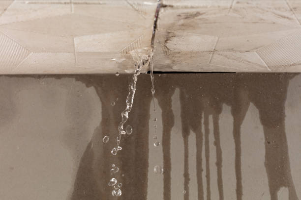 Professional Burst Pipe Cleanup technician working in McLemoresville, TN